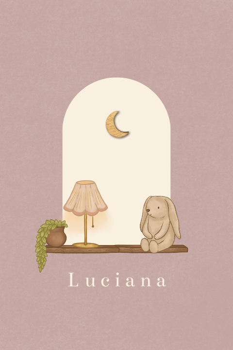 Geboortekaartje venster met knuffeltje