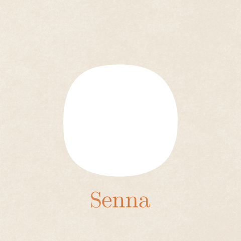 Geboortekaartje doorkijkje giraffen familie