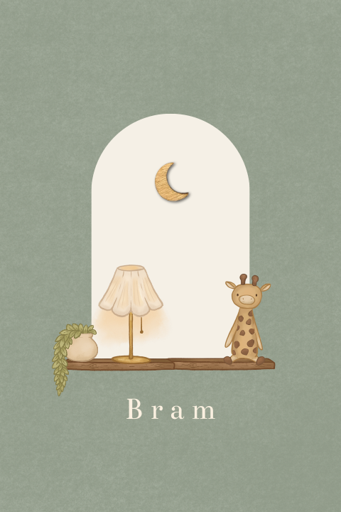 Geboortekaartje venster babykamer