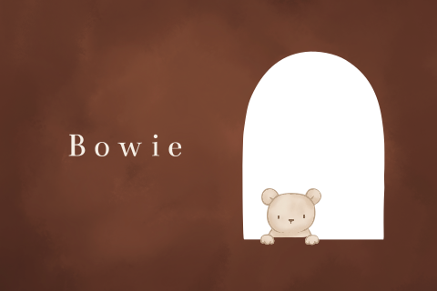 Geboortekaartje roestkleur doorkijkje beertje