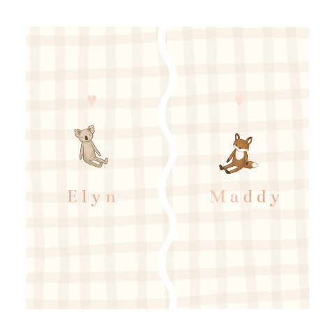 Tweeling geboortekaartjes ruitjes knuffeltje