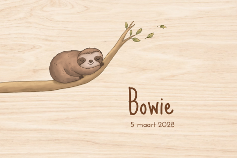 Houten memorybox met naam en baby luiaard