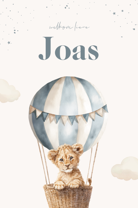 Geboortekaartje leeuwtje in blauwe luchtballon jongen