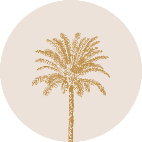 Moderne sluitsticker palmboom