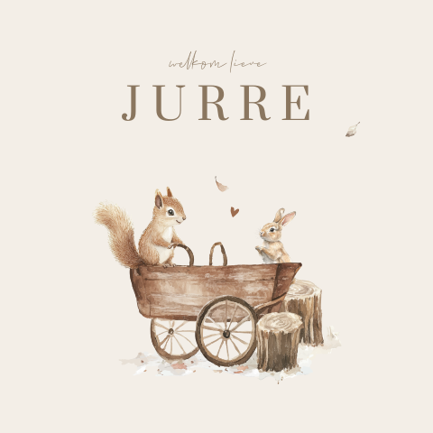 Uniek geboortekaartje eekhoorn en konijntje bij kinderwagen bos