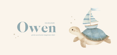 Geboortekaartje met schildpad en bootje blauw