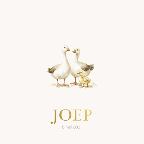 Geboortekaartje ganzen met kuikentje en goudfolie