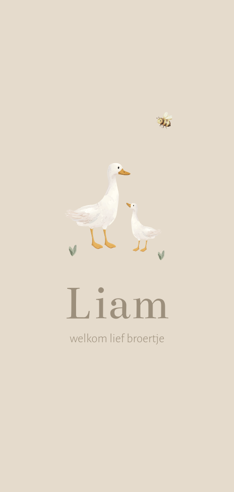 Geboortekaartje zand met gansjes broertje of zusje