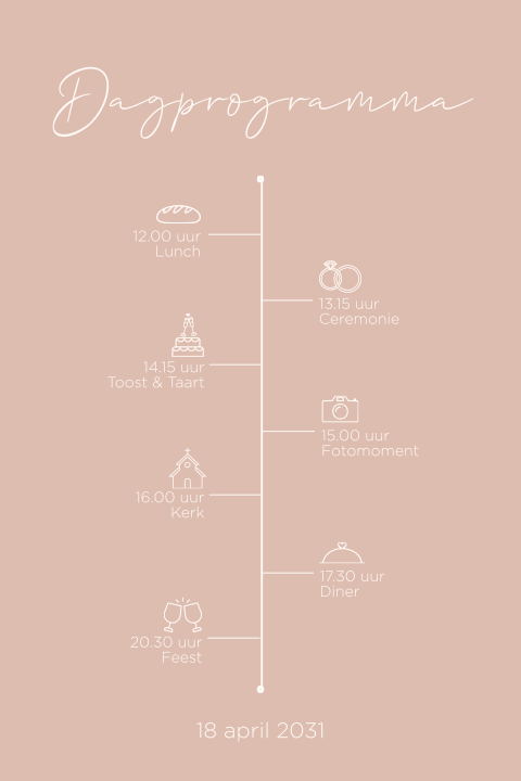 Roze programmakaart voor bruiloft met tijdlijn en iconen