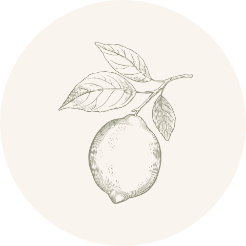 Mediterraanse sluitsticker met lijntekening citroentje