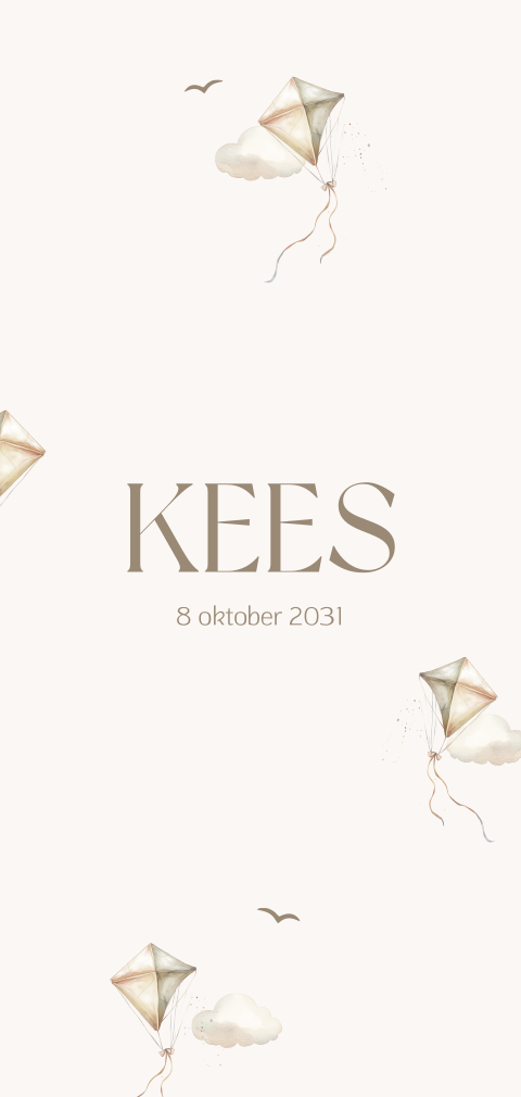 Langwerpig geboortekaartje met vlieger print en wolkjes