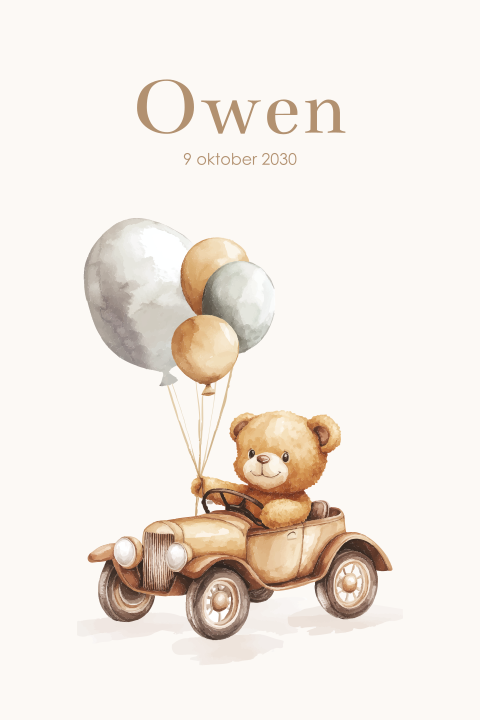 Geboortekaartje beertje in auto met ballonnen bruintinten