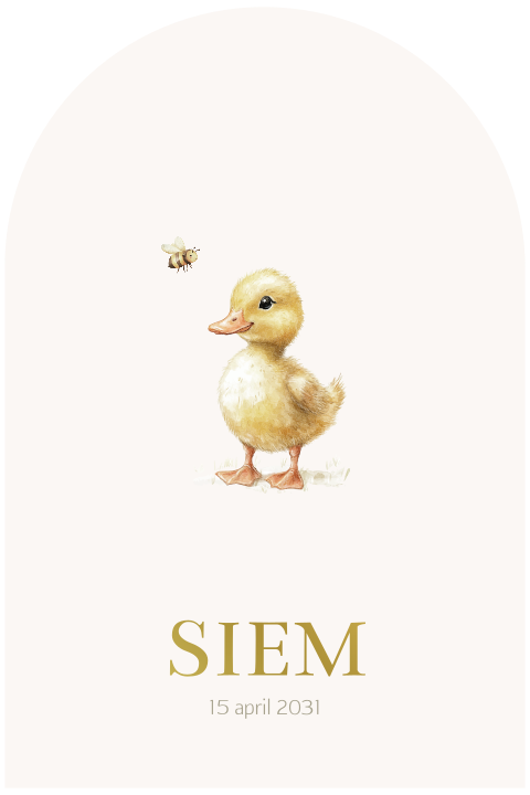 Boogvormig geboortekaartje met kuikentje en goudfolie