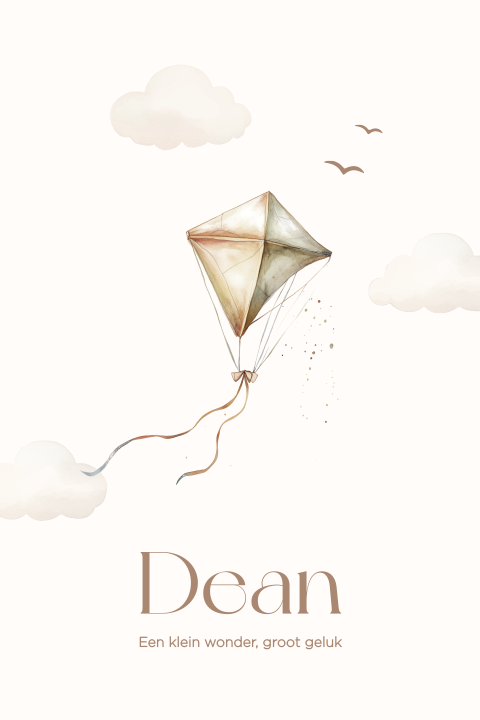 Geboortekaartje met illustratie vlieger en wolkje met vogeltjes