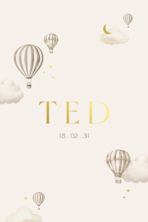 Geboortekaartje met neutrale luchtballonnen en wolkjes