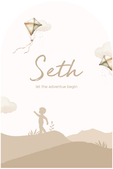 Geboortekaartje boogvorm jongetje met vliegers bruintinten