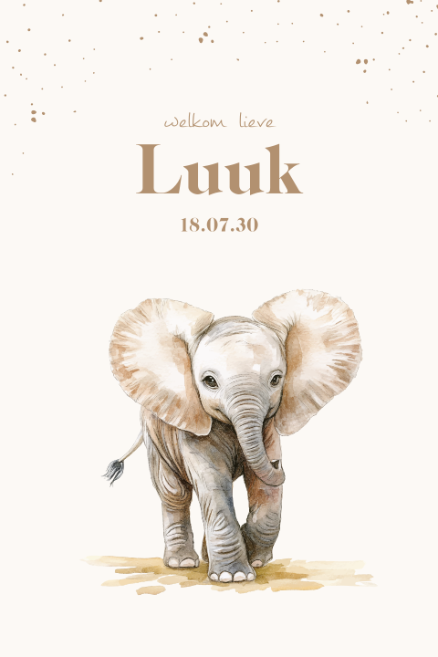 Geboortekaartje aquarel illustratie lief olifantje