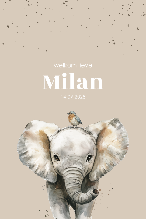 Stoer geboortekaartje olifant met vogel