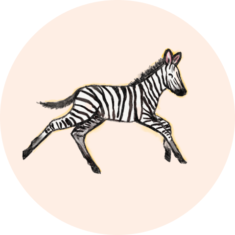 Sluitsticker met kleine zebra.
