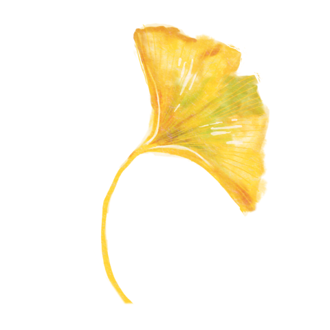 Sluitsticker met ginkgo blaadje