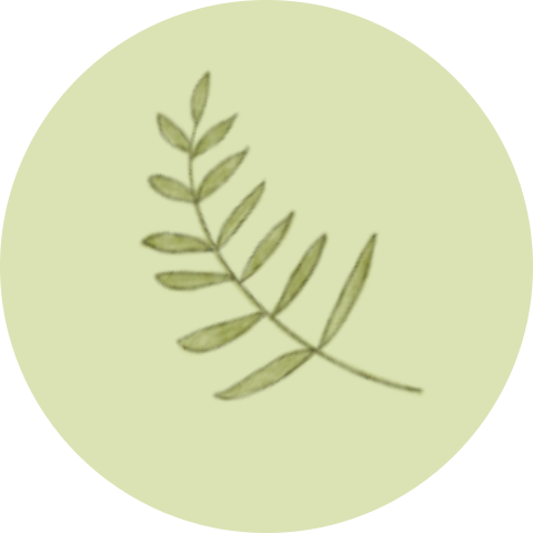 Groene sluitsticker met takje