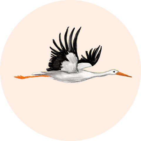 Sluitsticker met vliegende ooievaar.