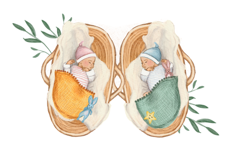 Geboortekaartje voor een tweeling met twee baby's in een mozesmandje