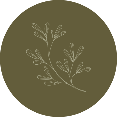 Siegel in olivgrün mit gezeichnetem Zweig - Pure Essence