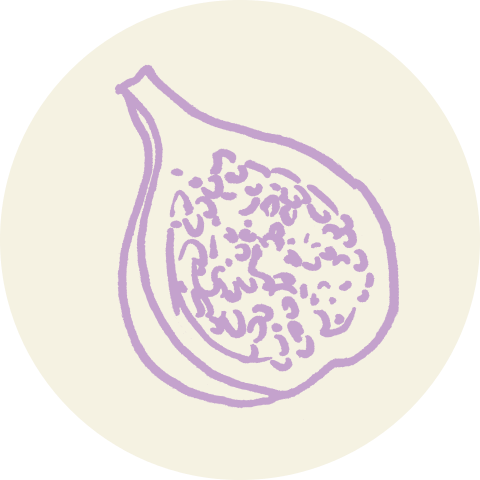 Siegel mit gezeichneter Feige - Sommer & Genuss