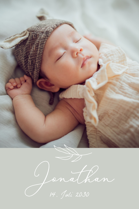 Babyzweig