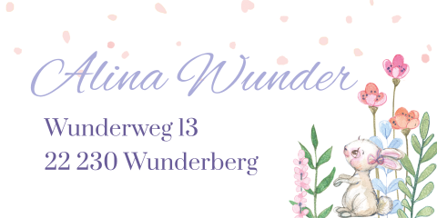 Lillifee - Ballerina Adressaufkleber