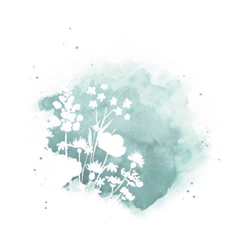Aquarellwiese