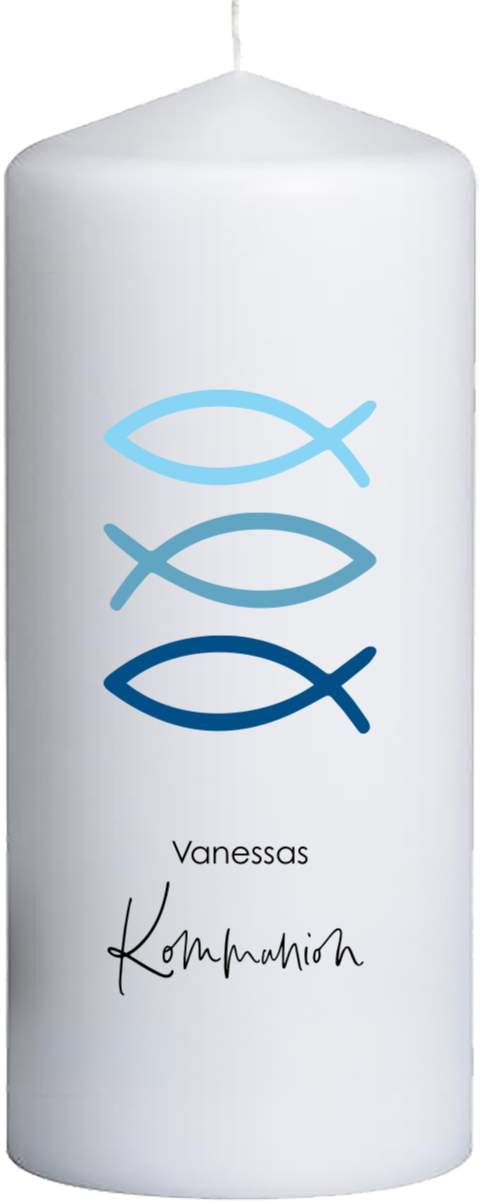 Bunte Ichthys