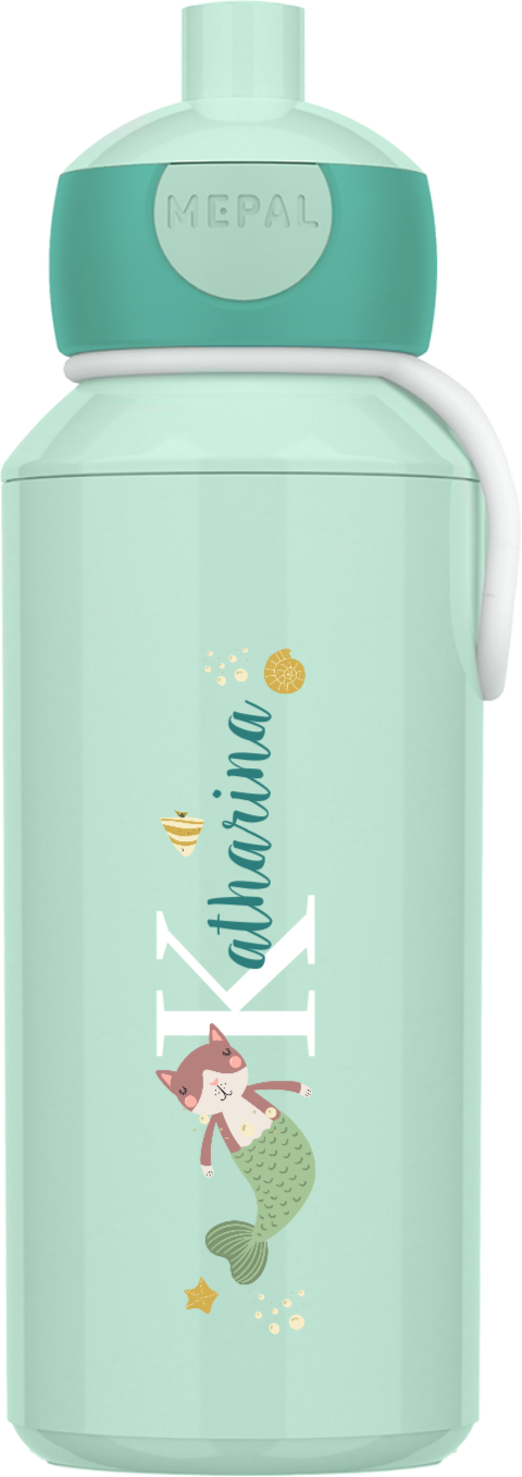 Katzenfisch 