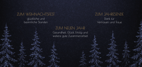 BlauerWald 55529