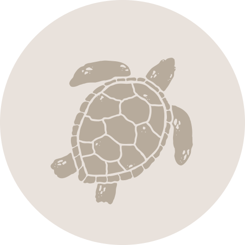 Sluitzegel schildpad beige