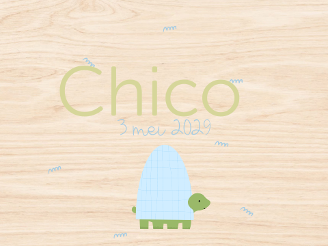 Houten Memorybox | Schildpad