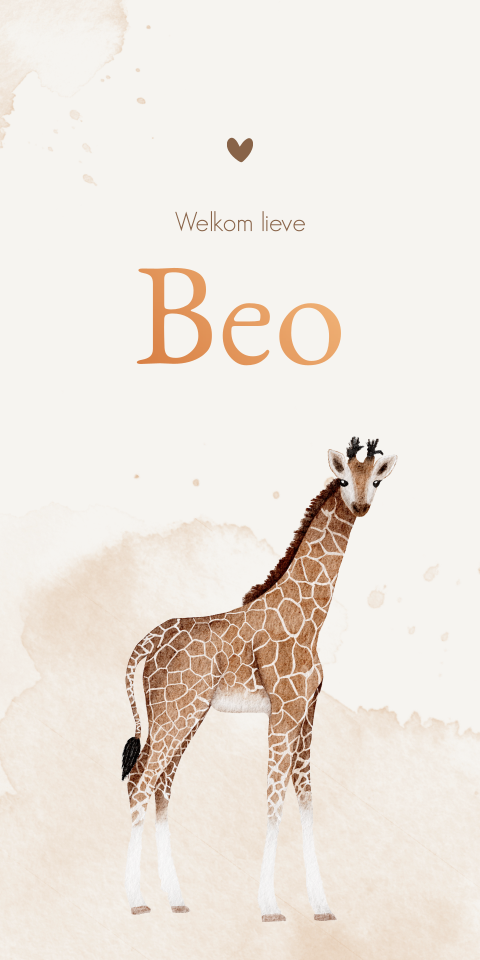 Geboortekaartje Jongen Waterverf Giraffe