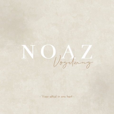 Rouwkaart Jongen Suède Teddy Beertje