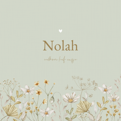 Geboortekaartje Meisje Veldbloemen Aquarel Groen