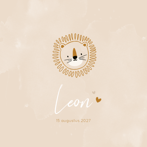 Geboortekaartje jongen leeuw lief