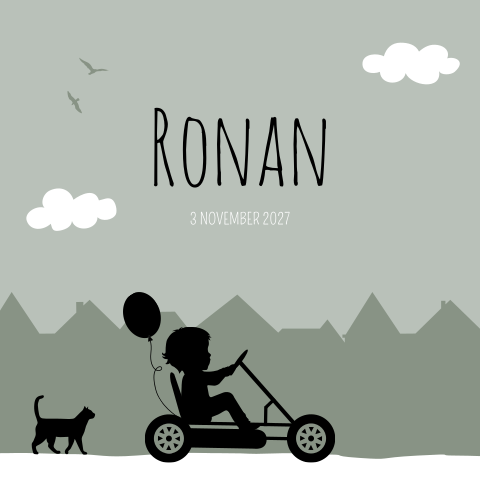 Geboortekaartje Jongen Skelter Stoer