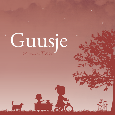 Geboortekaartje Meisje Silhouet Fietsje Boom