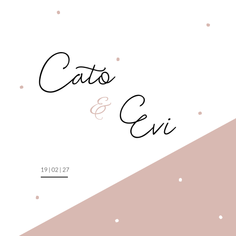 Geboortekaartje Tweeling Roze Wit Stippen