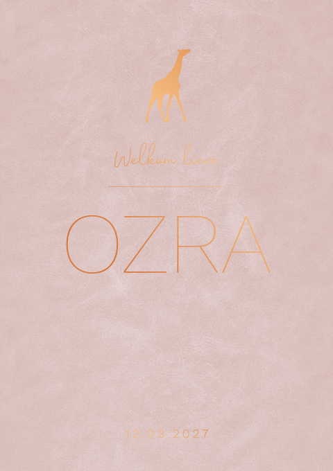 Geboortekaartje meisje roze koperfolie velvetlook