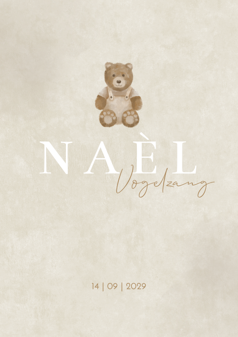 Geboortekaartje Suede Velvet Teddy Beertje