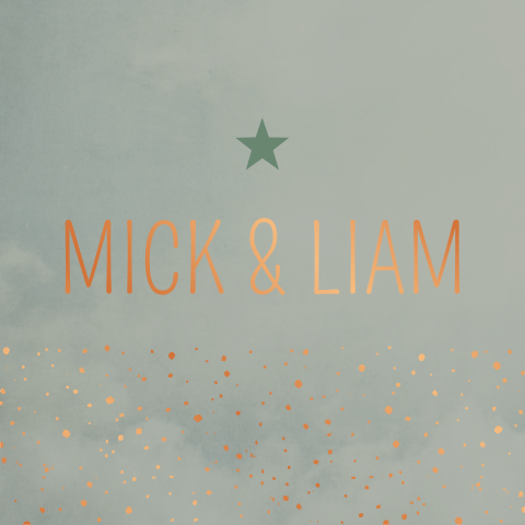 Geboortekaartje tweeling oudgroen ster stippen