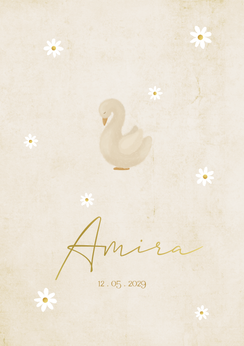 Geboortekaartje Meisje Madeliefjes Gansje