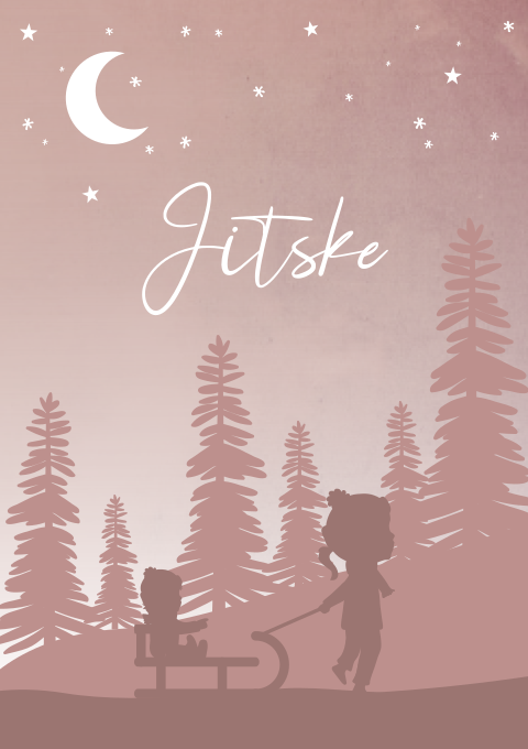 Geboortekaartje Meisje Winter Slee Sterren