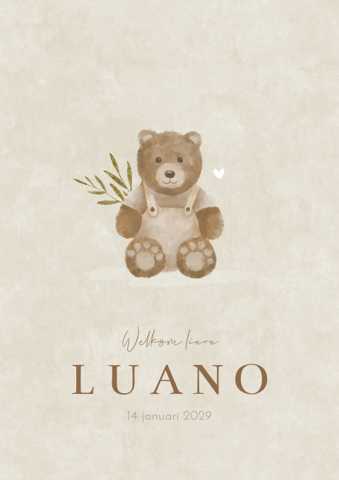 Geboortekaartje Teddybeertje Velvet Hip Trendy